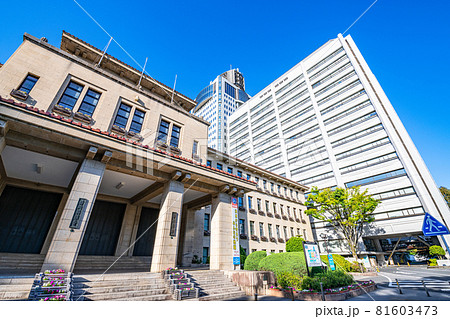 静岡県静岡市　快晴の静岡県庁本館と東館 81603473