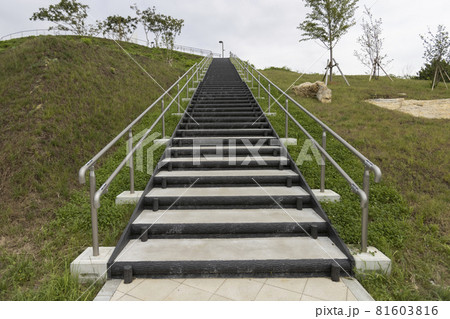 日本の観光地　宮城県気仙沼市　東北　唐桑　宮城オルレ　トレッキングコースでの発見　ビュースポット 81603816