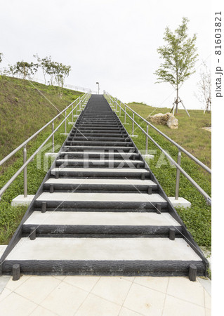 日本の観光地　宮城県気仙沼市　東北　唐桑　宮城オルレ　トレッキングコースでの発見　ビュースポット 81603821