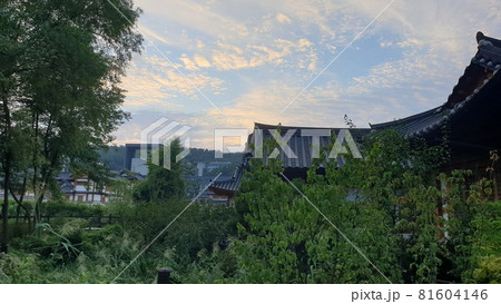 公園 81604146