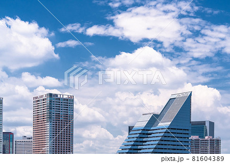 《東京都》青い空と白い雲の東京都市風景・夏空の東京ベイエリア 81604389