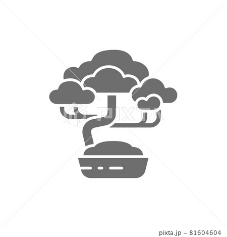 Bonsai tree grey icon. Isolated on white background Bonsai tree grey icon. Isolated on white background 81604604