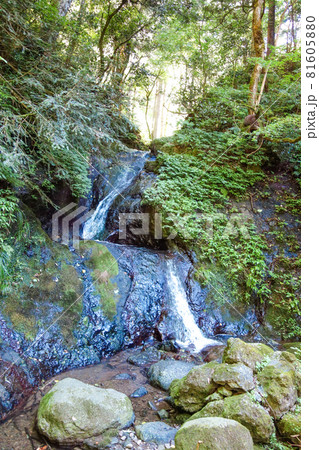 福井県 権現山 お釜滝 【柳の滝】 福井県 権現山 お釜滝 【柳の滝】 81605880