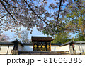 京都  醍醐寺 春の風景 81606385