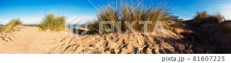 panorama of sand dune 81607225