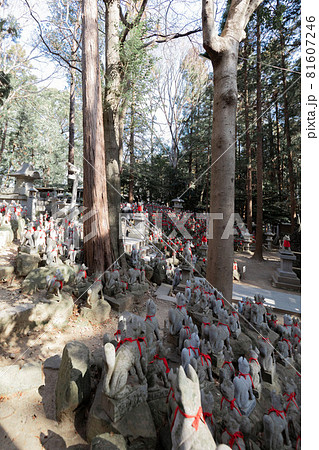 豊川稲荷 霊狐塚 豊川稲荷 霊狐塚 81607246