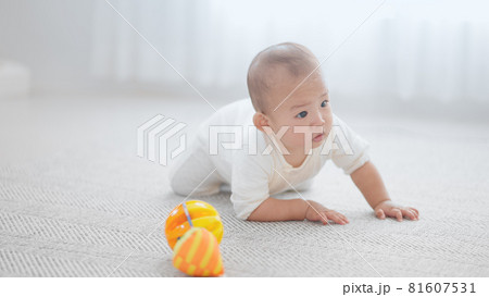 這い這いをする赤ちゃん イメージ 這い這いをする赤ちゃん イメージ 81607531