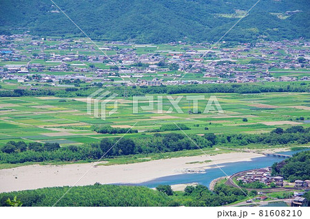 徳島県吉野川市　チェリーロードから善入寺島を望む 81608210