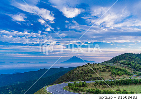 （静岡県）達磨山高原から望む、富士山の夜明け 81608483