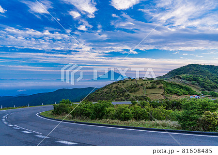 （静岡県）達磨山高原から望む、富士山の夜明け 81608485