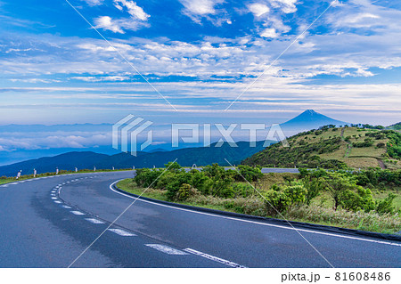 （静岡県）達磨山高原から望む、富士山の夜明け 81608486
