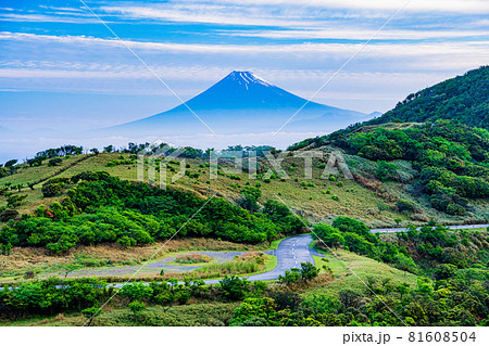 （静岡県）達磨山高原から望む、富士山の夜明け 81608504
