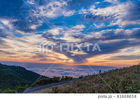 【静岡県】西伊豆スカイラインから眺める夜明け 【静岡県】西伊豆スカイラインから眺める夜明け 81608658
