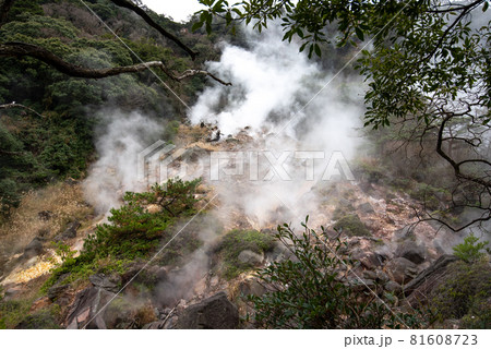 地熱噴気帯　えびの高原 81608723