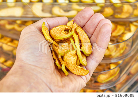 Man holds a handful of dried apples on background of sliced apples in the food dryer. Closeup, selective focus Man holds a handful of dried apples on background of sliced apples in the food dryer. Closeup, selective focus 81609089
