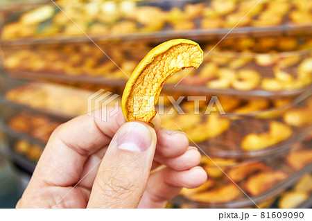 Man holds a slice of dried apple on background of sliced apples in the food dryer. Closeup, selective focus Man holds a slice of dried apple on background of sliced apples in the food dryer. Closeup, selective focus 81609090