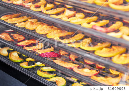 Sliced apples in the food dryer. Cut apples on dehydrator tray. Closeup, selective focus 81609093