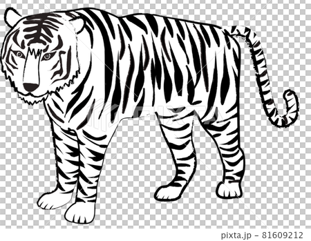 イラスト素材：寅年 リアルなトラ全身 手描き筆タッチ 白黒