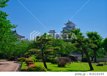 【兵庫県】5月・新緑の姫路城 【兵庫県】5月・新緑の姫路城 81610295