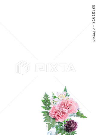 花束　カーネーション　花　贈り物　お礼　多年草 81610539