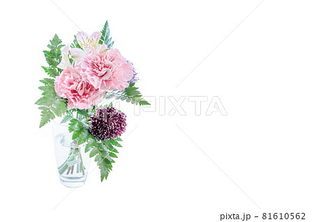 花束　カーネーション　花　贈り物　お礼　多年草 81610562