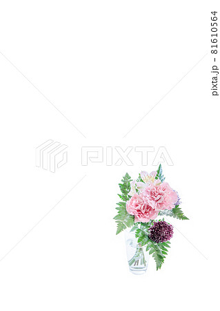 花束　カーネーション　花　贈り物　お礼　多年草 81610564