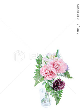 花束 カーネーション 花 贈り物 お礼 多年草 花束 カーネーション 花 贈り物 お礼 多年草 81610569