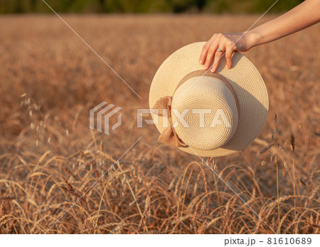 Young beautiful girl with long curly hair poses in a wheat field in the summer at sunset. A girl holds a hat in her hand against the background of a wheat field. The view from the back. Toning. Young beautiful girl with long curly hair poses in a wheat field in the summer at sunset. A girl holds a hat in her hand against the background of a wheat field. The view from the back. Toning. 81610689