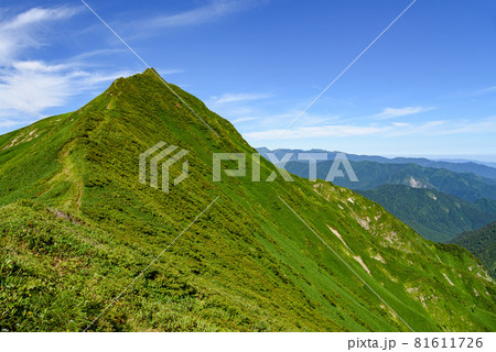 快晴の空と谷川連峰縦走路・オジカ沢ノ頭 81611726