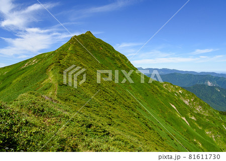 夏空と谷川連峰・オジカ沢ノ頭 81611730