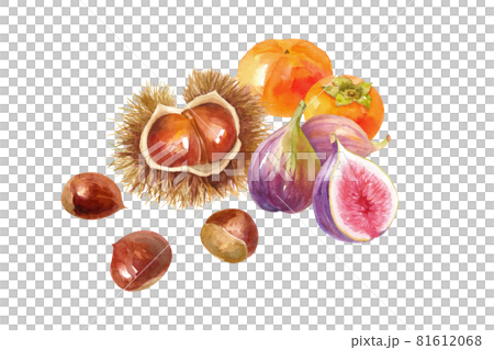 秋のフルーツの集合。栗、柿、イチジクの水彩イラスト。レイアウト変更可能（ベクターデータ）。 81612068