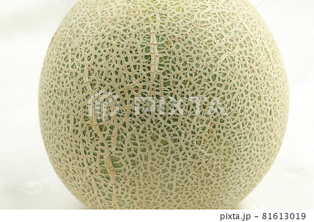 メロン　アミメロン 81613019