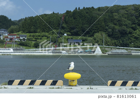 東北　日本の観光地　気仙沼漁港　漁港　ボラード　 81613061