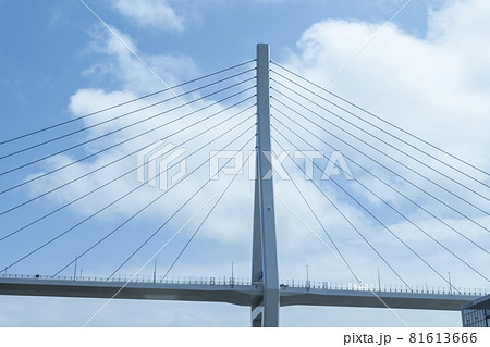 東北　日本の観光地　気仙沼漁港　漁港　気仙沼湾横断橋 81613666