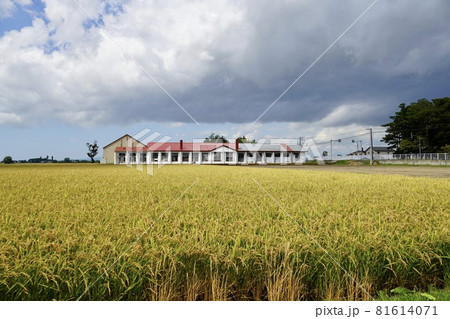 栗沢町立東豊小学校（廃校） 81614071