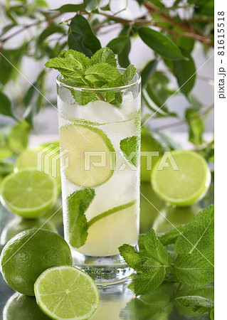 Refreshing organic Mojito cocktail 81615518