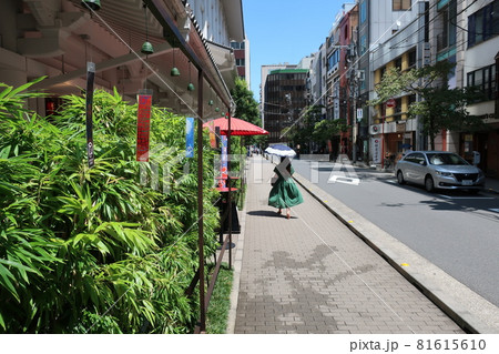 夏の銀座を歩く女性 夏の銀座を歩く女性 81615610