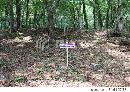(世界遺産)北海道、千歳市、キウス周提墓群(1) (世界遺産)北海道、千歳市、キウス周提墓群(1) 81616253