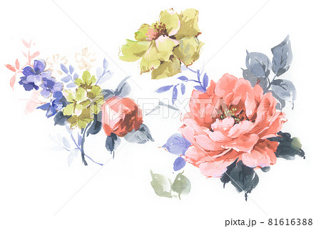 透明水彩 水彩画 花 81616388