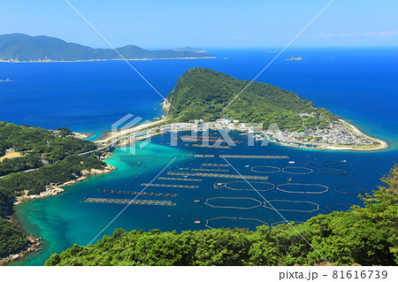 【高知県】エメラルドグリーンの柏島 【高知県】エメラルドグリーンの柏島 81616739