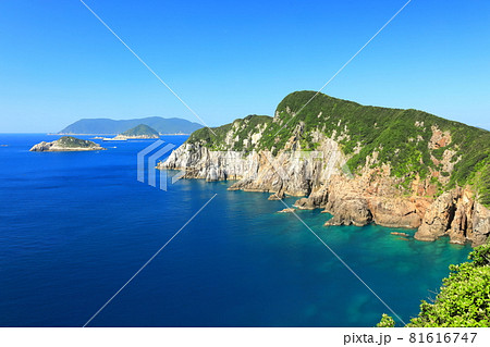 【高知県】晴天下の大堂海岸 【高知県】晴天下の大堂海岸 81616747