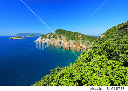 【高知県】晴天下の大堂海岸 【高知県】晴天下の大堂海岸 81616753
