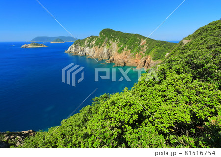 【高知県】晴天下の大堂海岸 【高知県】晴天下の大堂海岸 81616754