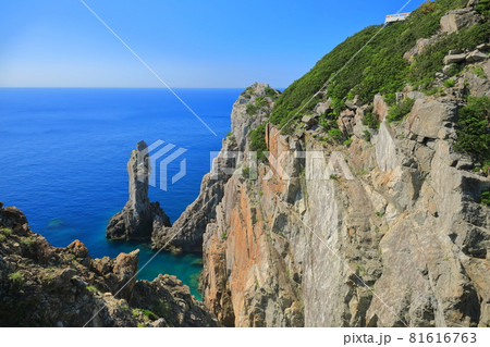 【高知県】晴天下の観音岩(大堂海岸) 【高知県】晴天下の観音岩(大堂海岸) 81616763