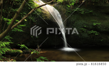 荒川剣龍峡　禊の滝 81616850