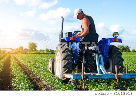 A farmer on a tractor works in the field. A farm worker tills the soil on a plantation. Farm machinery. Crop care. Plowing and loosening ground. Agroindustry and agribusiness. Farming landscape 81618913