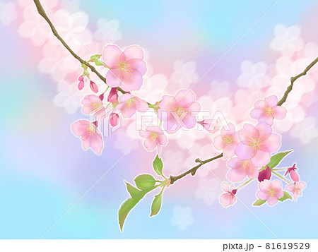キラキラ青背景の桜の枝のイラスト素材