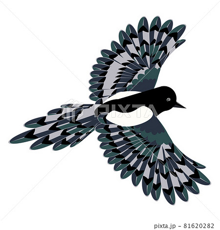 Cartoon magpie bird Cartoon magpie bird 81620282