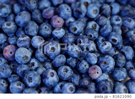 綺麗なたくさんのブルーベリーのアップ  81621090