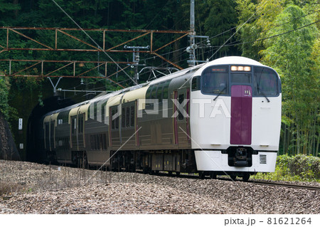 ホリデー快速ビューやまなし　中央本線　215系電車 81621264